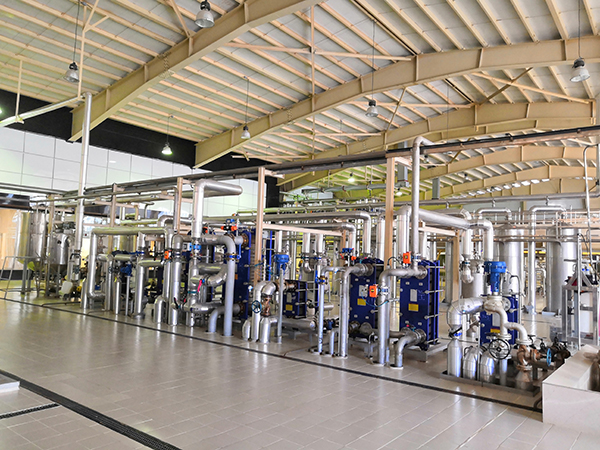 1579240814.jpg 麦芽糖醇项目现场照片.jpg